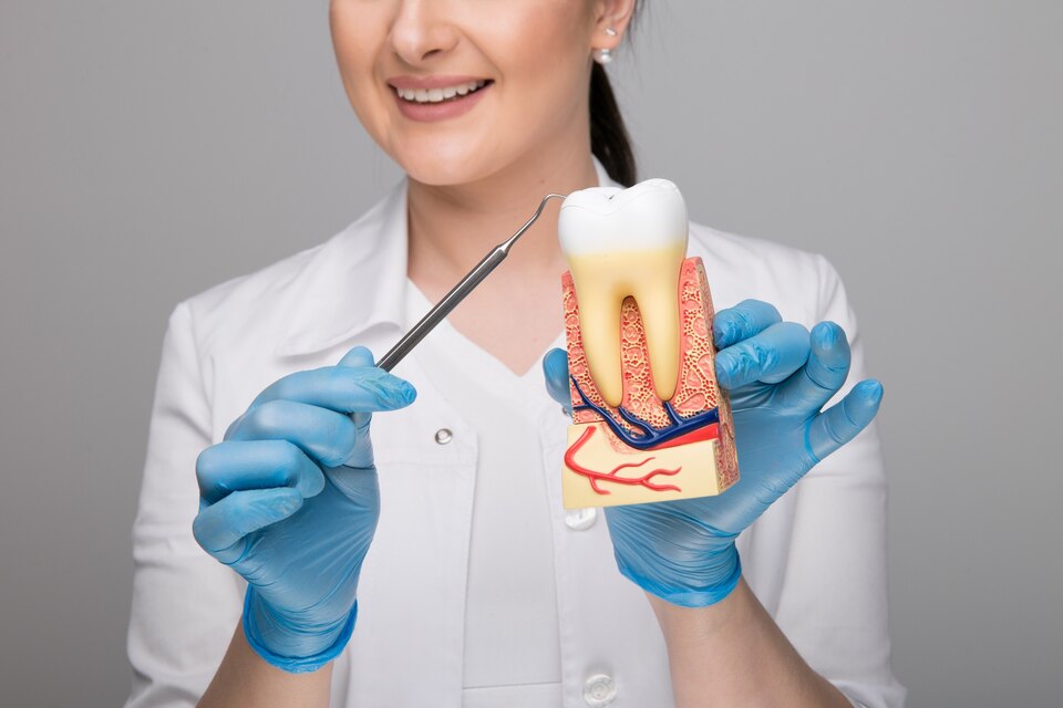 dentist in Putney offering gum disease treatment